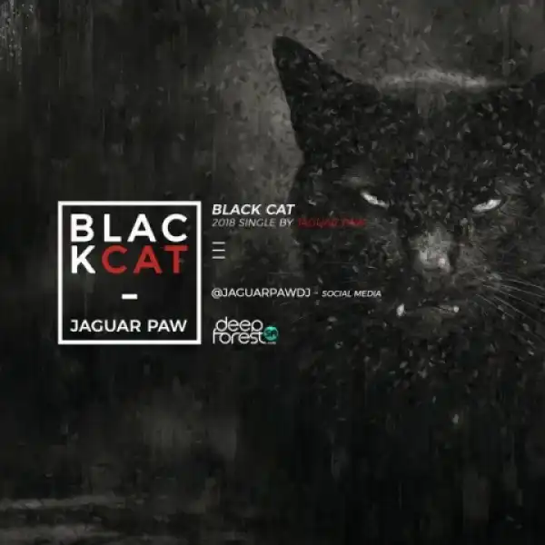 Jaguar Paw - Black Cat (Original Mix)